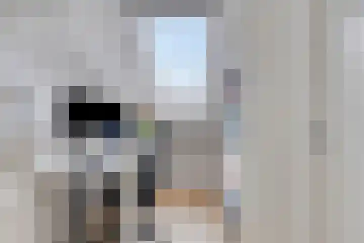 Filosofentuin 56 Capelle aan den IJssel thumbnail 26