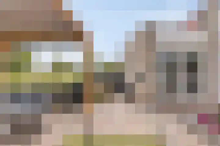 Filosofentuin 56 Capelle aan den IJssel thumbnail 31