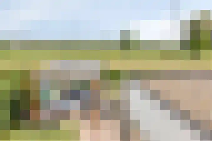Filosofentuin 56 Capelle aan den IJssel thumbnail 37
