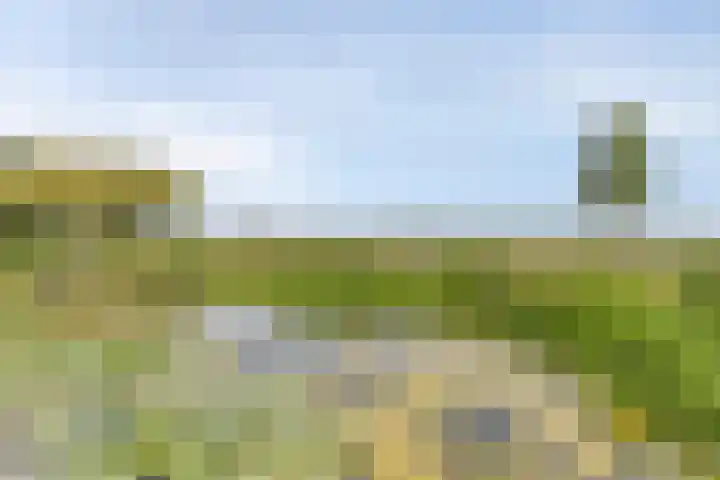 Filosofentuin 56 Capelle aan den IJssel thumbnail 39