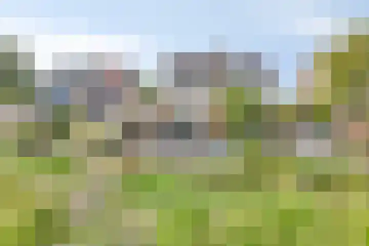 Filosofentuin 56 Capelle aan den IJssel thumbnail 40