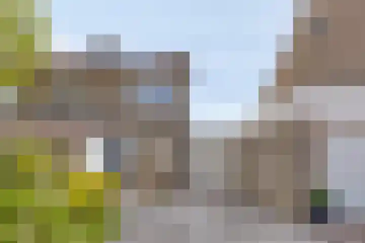 Filosofentuin 56 Capelle aan den IJssel thumbnail 5