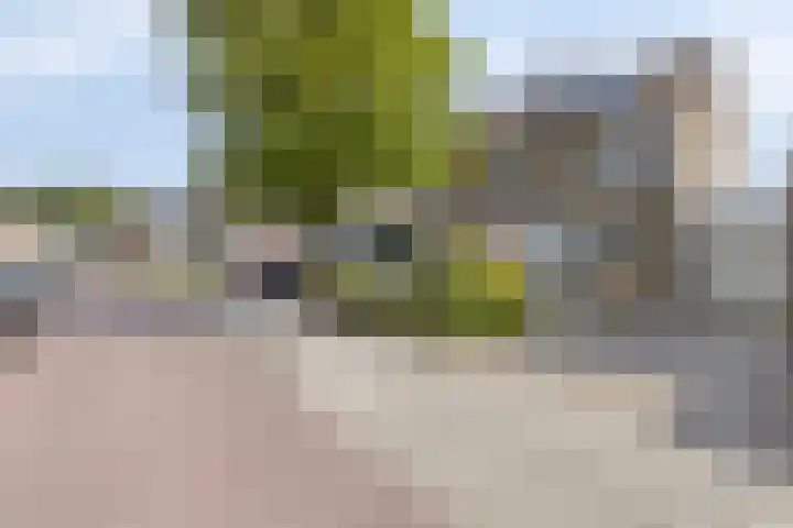 Filosofentuin 56 Capelle aan den IJssel thumbnail 7