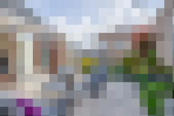 Filosofentuin 68 Capelle aan den IJssel thumbnail 20