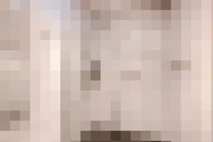 Filosofentuin 68 Capelle aan den IJssel thumbnail 27