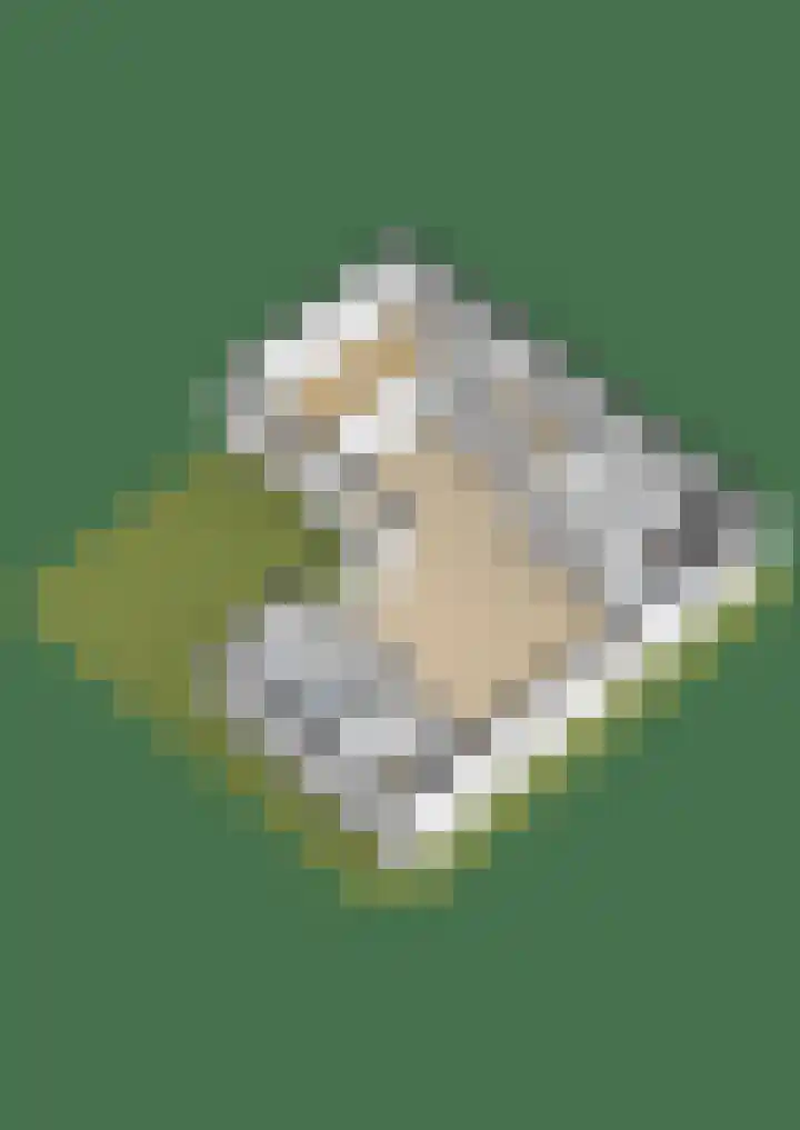 Filosofentuin 68 Capelle aan den IJssel thumbnail 36
