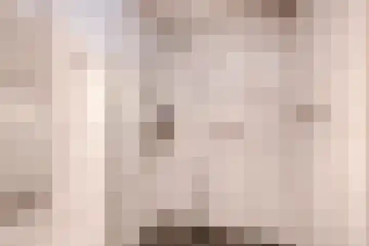 Filosofentuin 68 Capelle aan den IJssel thumbnail 4