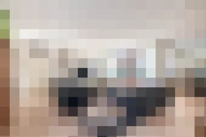 Filosofentuin 68 Capelle aan den IJssel thumbnail 8