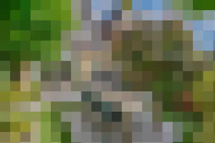 Filosofentuin 79 Capelle aan den IJssel thumbnail 10