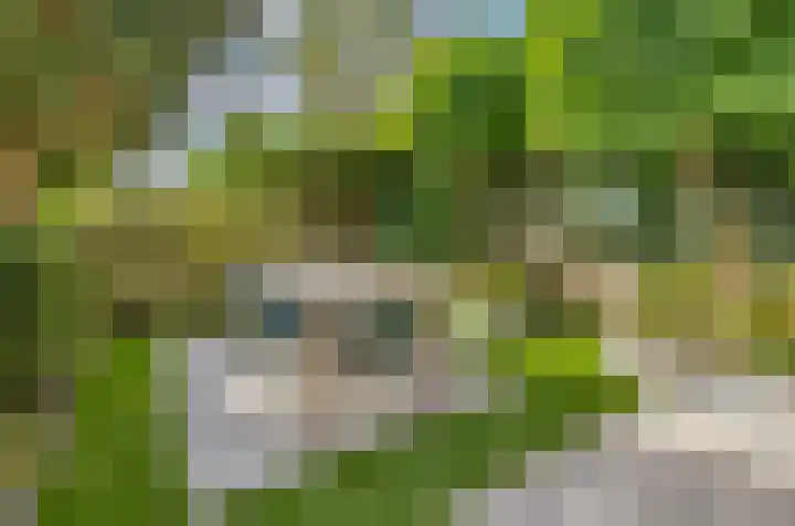 Filosofentuin 79 Capelle aan den IJssel thumbnail 11