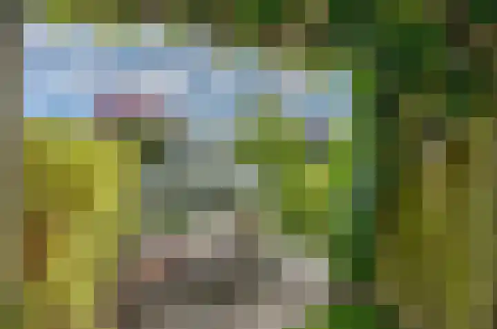 Filosofentuin 79 Capelle aan den IJssel thumbnail 12