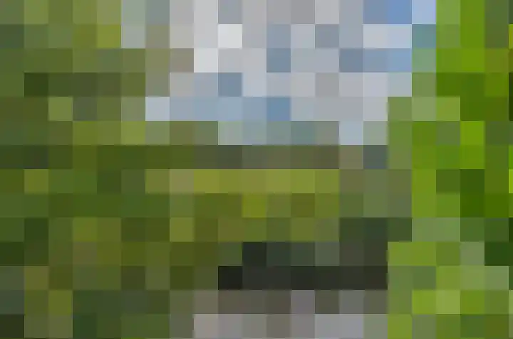 Filosofentuin 79 Capelle aan den IJssel thumbnail 13