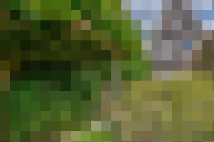 Filosofentuin 79 Capelle aan den IJssel thumbnail 14
