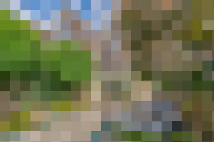 Filosofentuin 79 Capelle aan den IJssel thumbnail 15