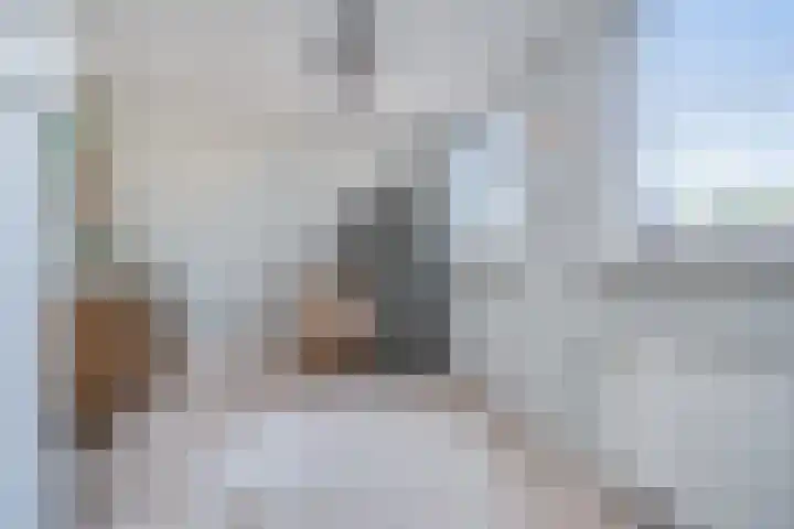 Filosofentuin 79 Capelle aan den IJssel thumbnail 24