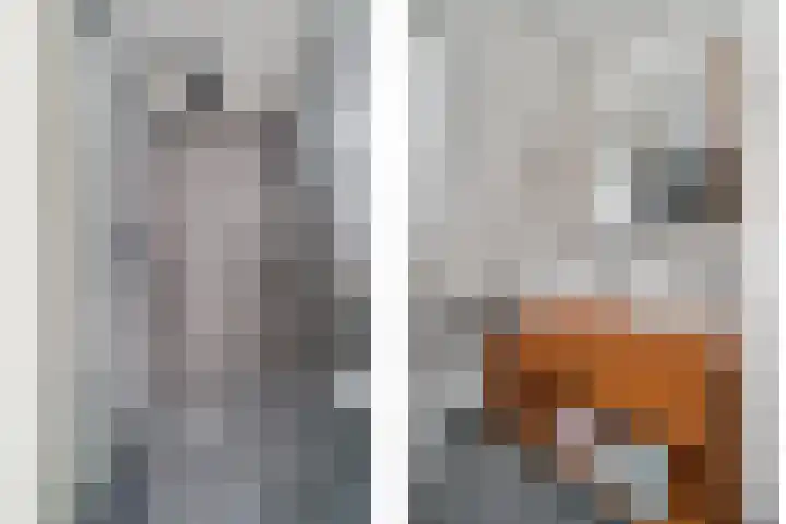 Filosofentuin 79 Capelle aan den IJssel thumbnail 25