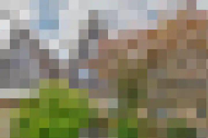 Filosofentuin 79 Capelle aan den IJssel thumbnail 30