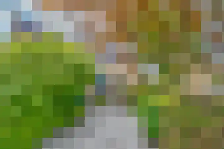 Filosofentuin 79 Capelle aan den IJssel thumbnail 31