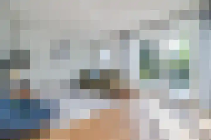 Filosofentuin 79 Capelle aan den IJssel thumbnail 6