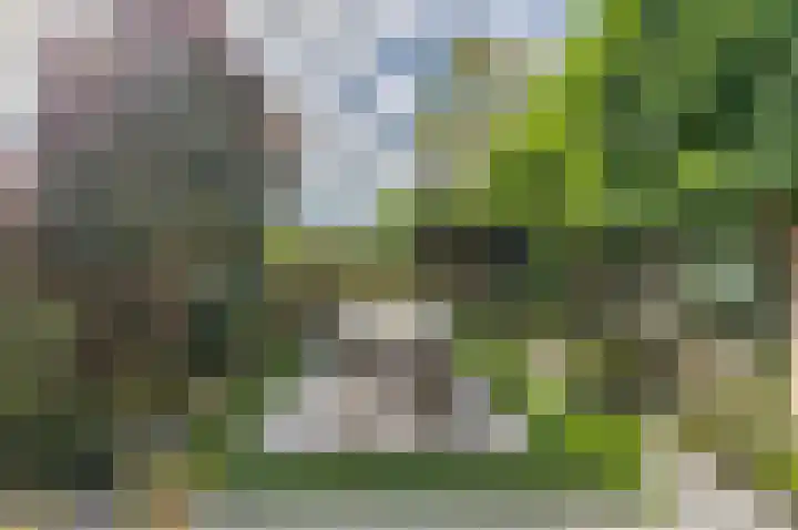 Filosofentuin 79 Capelle aan den IJssel thumbnail 8