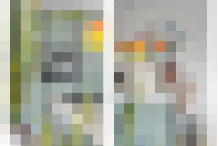 Filosofentuin 93 Capelle aan den IJssel thumbnail 10