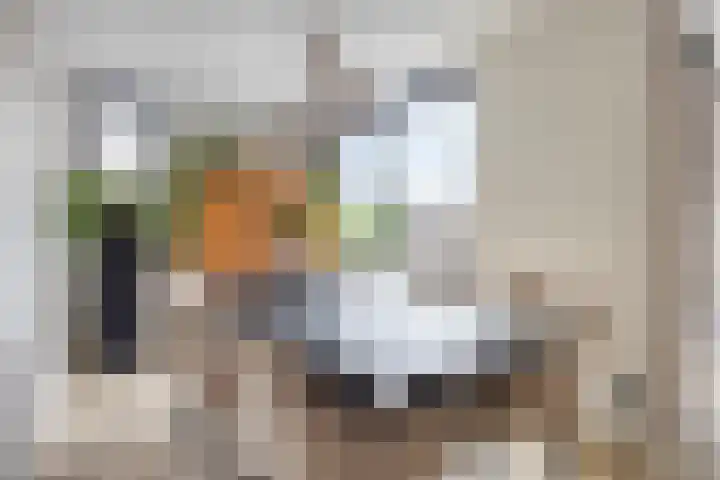 Filosofentuin 93 Capelle aan den IJssel thumbnail 12