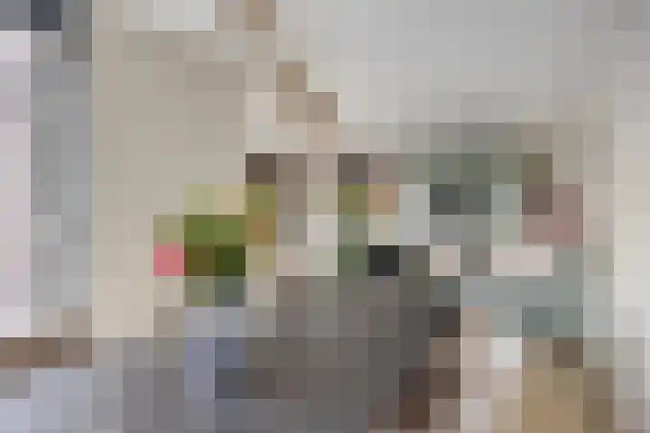 Filosofentuin 93 Capelle aan den IJssel thumbnail 13