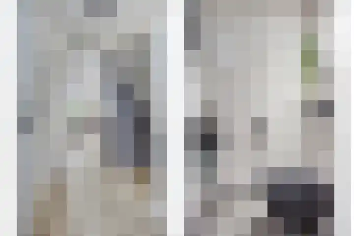 Filosofentuin 93 Capelle aan den IJssel thumbnail 15