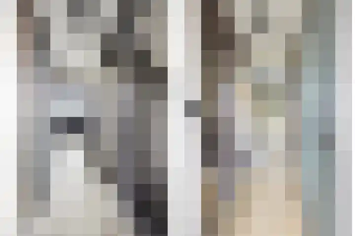 Filosofentuin 93 Capelle aan den IJssel thumbnail 16