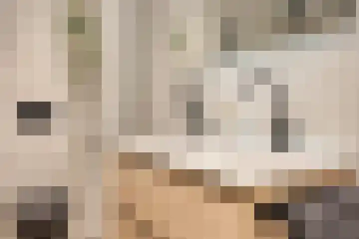 Filosofentuin 93 Capelle aan den IJssel thumbnail 19