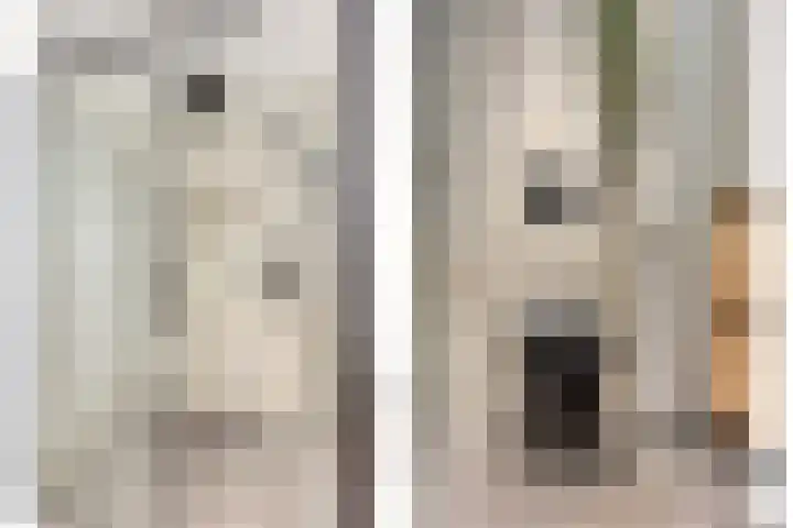 Filosofentuin 93 Capelle aan den IJssel thumbnail 21