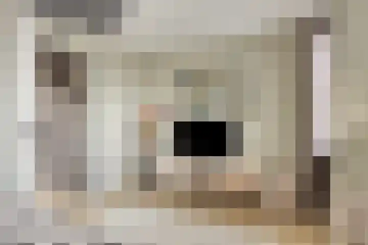 Filosofentuin 93 Capelle aan den IJssel thumbnail 24