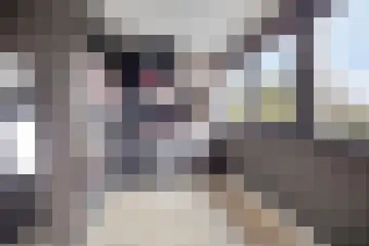Filosofentuin 93 Capelle aan den IJssel thumbnail 25
