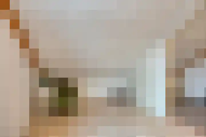 Filosofentuin 93 Capelle aan den IJssel thumbnail 29