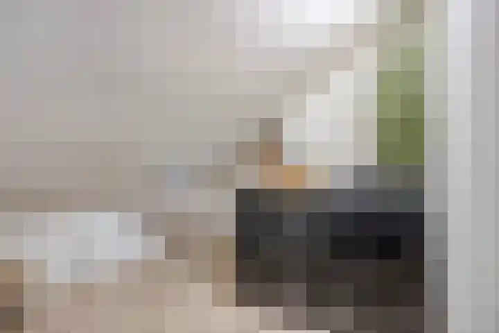 Filosofentuin 93 Capelle aan den IJssel thumbnail 30