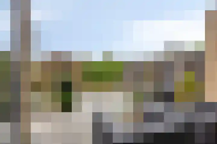 Filosofentuin 93 Capelle aan den IJssel thumbnail 31