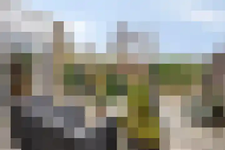 Filosofentuin 93 Capelle aan den IJssel thumbnail 32