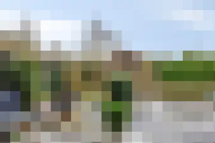 Filosofentuin 93 Capelle aan den IJssel thumbnail 34
