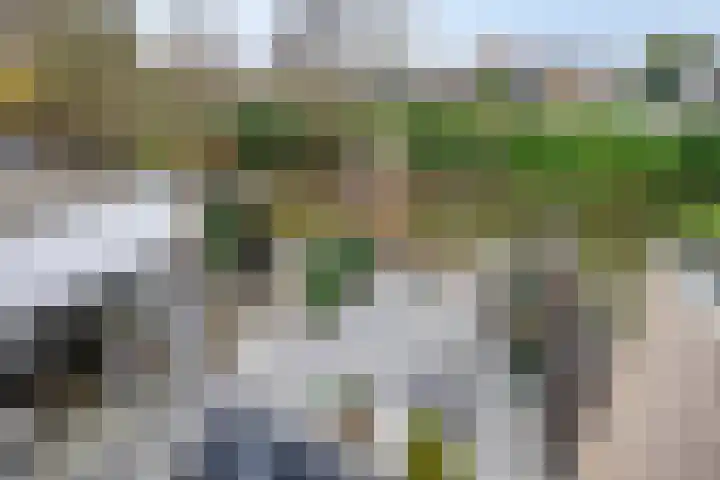 Filosofentuin 93 Capelle aan den IJssel thumbnail 36