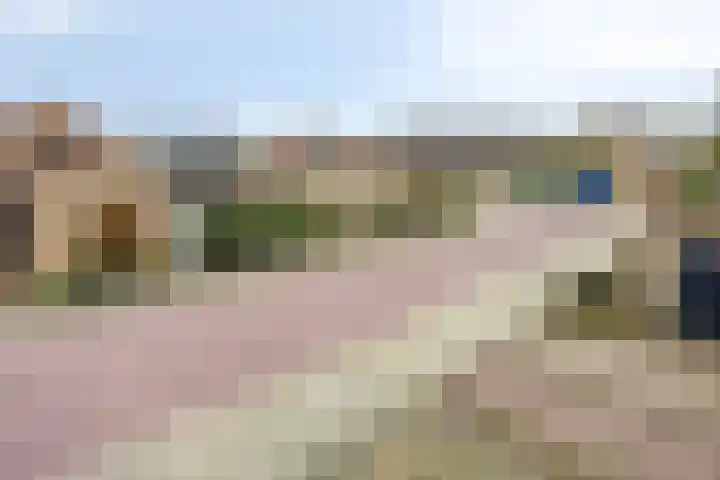 Filosofentuin 93 Capelle aan den IJssel thumbnail 37