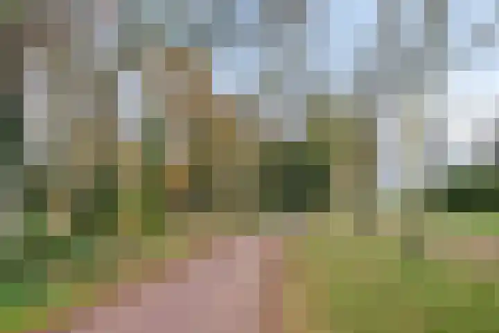 Filosofentuin 93 Capelle aan den IJssel thumbnail 39