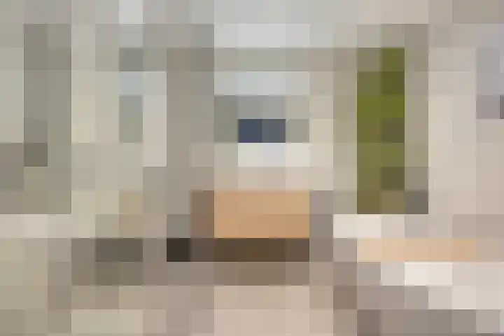 Filosofentuin 93 Capelle aan den IJssel thumbnail 4