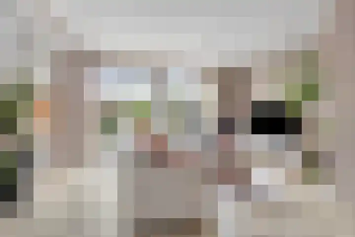 Filosofentuin 93 Capelle aan den IJssel thumbnail 5