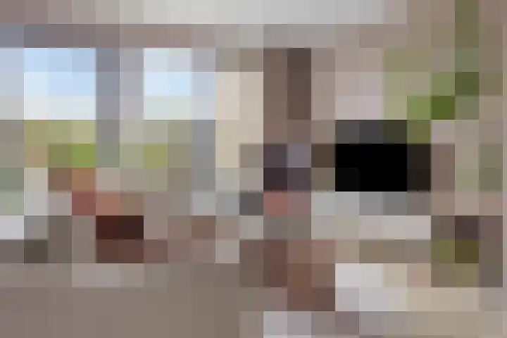 Filosofentuin 93 Capelle aan den IJssel thumbnail 6