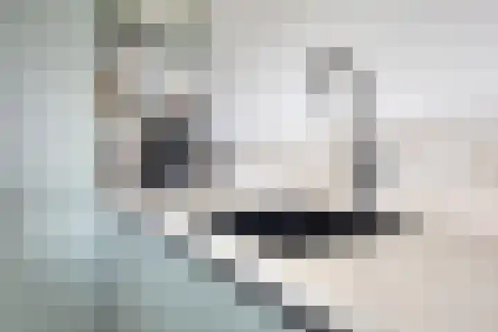 Filosofentuin 93 Capelle aan den IJssel thumbnail 9