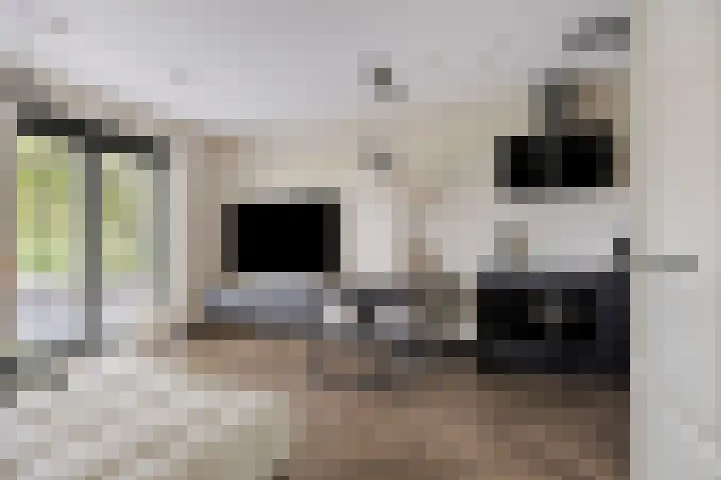 Filosoficum 21 Warmond thumbnail 16
