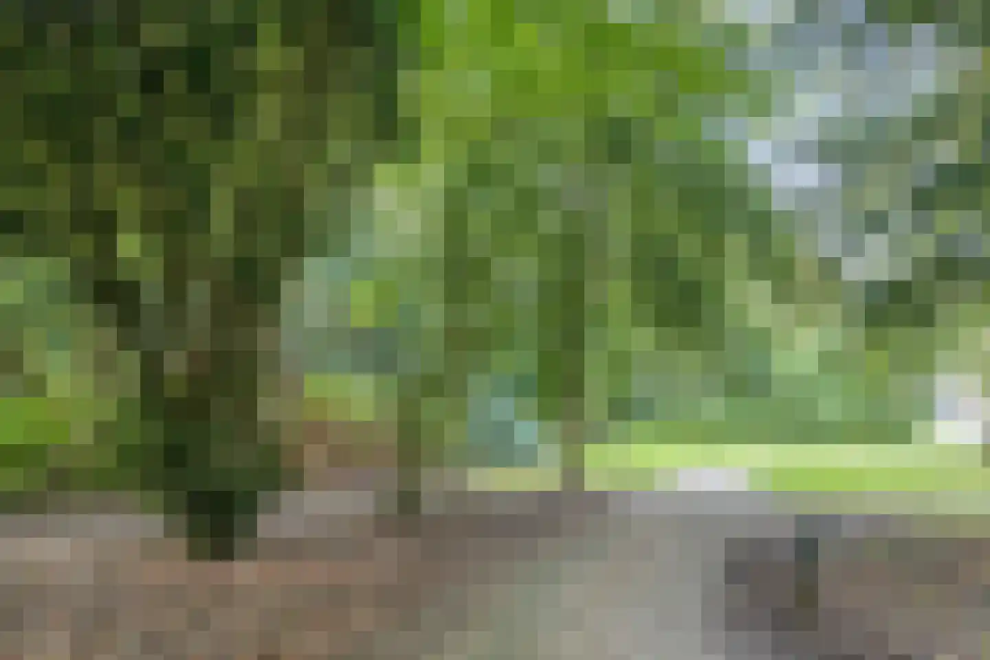 Filosoficum 21 Warmond thumbnail 38
