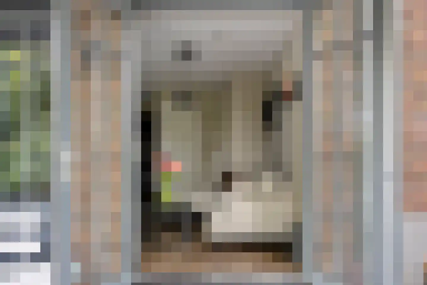 Filosoficum 21 Warmond thumbnail 5