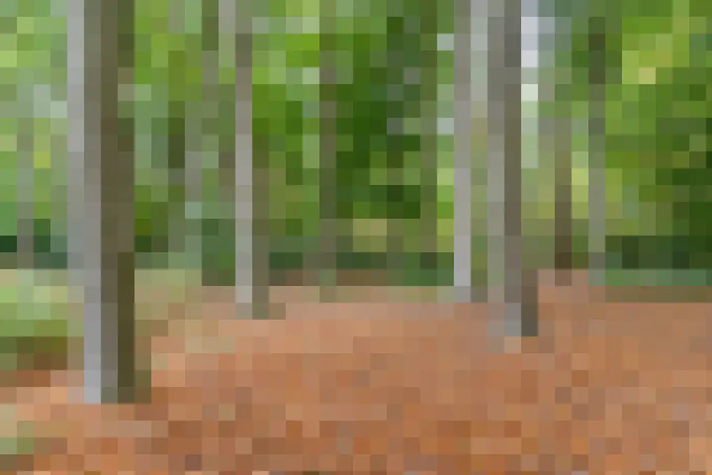 Finantiën 2 Loon op Zand thumbnail 100
