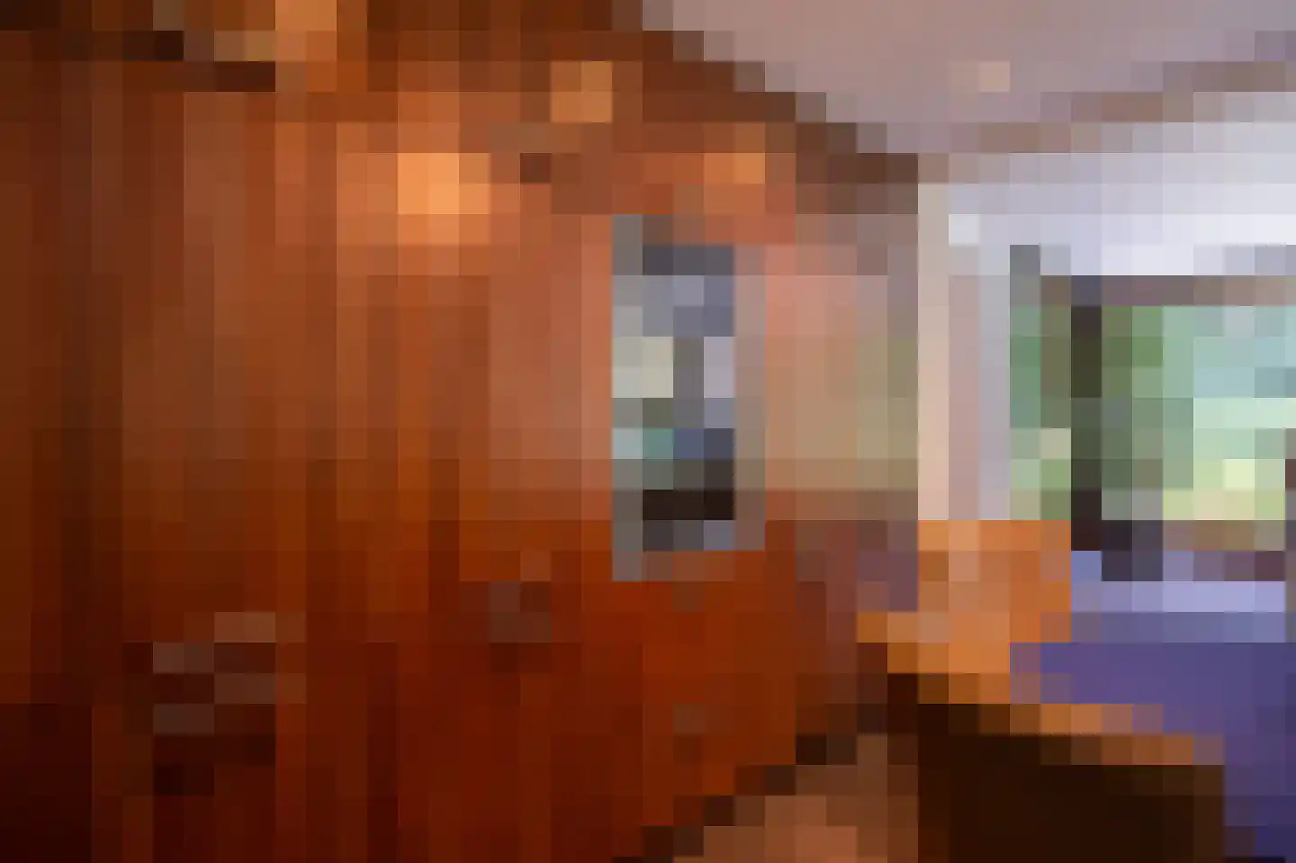 Finantiën 2 Loon op Zand thumbnail 13